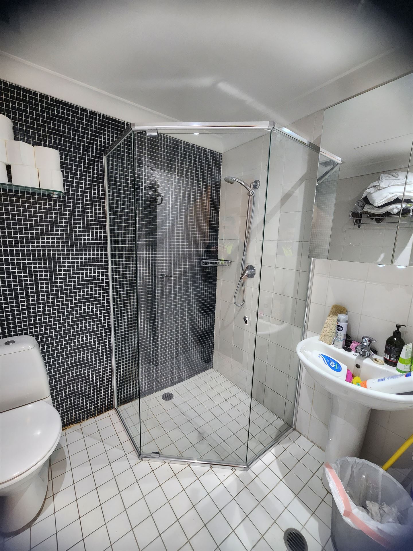 semi shower screen installed in Alexandria by Showerland
